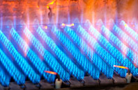 Putney Heath gas fired boilers